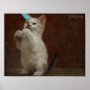 Search for kittie posters For kids