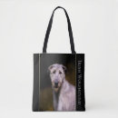 Search for wolfhound accessories Dog