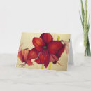 Search for amaryllis christmas cards Red
