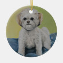 Search for shih tzu puppy ornaments Canine