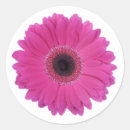 Search for hot pink magenta stickers Floral