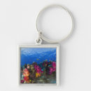 Search for coral reefs keychains Underwater