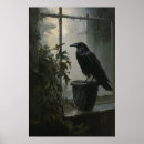Search for dark crow art posters Dark academia aesthetic