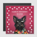 Recherche de salon de chien cartes postales Chiot