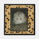 Recherche de chat persan magnets Chaton