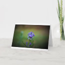 Recherche de gel vœux cartes Nature