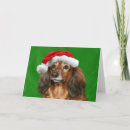 Search for weiner dog christmas cards Xmas
