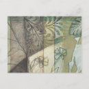 Recherche de herbs cartes postales Jardin