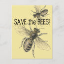 Search for save the bees postcards Honey