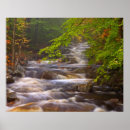 Search for streams posters Green