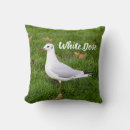 Recherche de pigeons coussins Nature