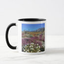 Search for borrego mugs Desert