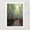 Recherche de bambou cartes postales Sagano