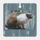 Recherche de singe ornements Animaux