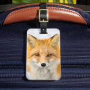 Recherche de renard bagages étiquettes Faune