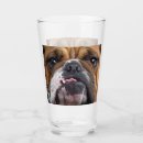 Recherche de animal de chopes Amoureux des chiens