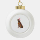 Search for rhodesian ridgeback ornaments Pug