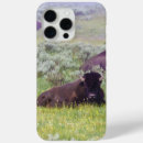 Search for bison iphone cases Animal