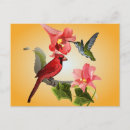 Recherche de lis cartes postales Colibri