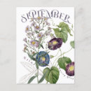 Recherche de septembre cartes postales Pour elle