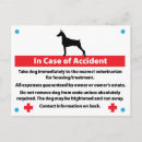 Recherche de dobx cartes postales Dog