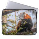 Search for panda electronics Tree