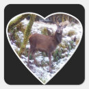 Search for red deer stickers Stag