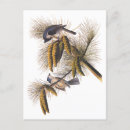 Recherche de pinecone cartes postales Pinécone