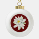 Search for white lily flower flowers lilies ornaments Plant