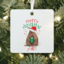 Search for armadillo ornaments Santa
