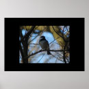 Search for chickadee art Winter