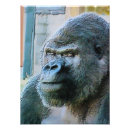 Recherche de gorille posters Primates