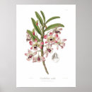 Search for nobility posters Vintage