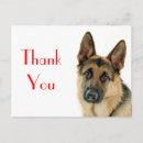Search for german shepherd thank you cards Puppy