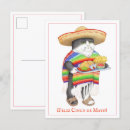 Recherche de cinco drôle de mayo cartes postales Chat