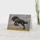 Search for friesian cards Equestrian