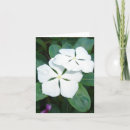 Search for dew cards invites Floral