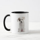 Search for mixed breed mugs Animals