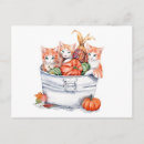 Search for thanksgiving cat postcards Kittens