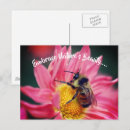 Search for embracing postcards Nature