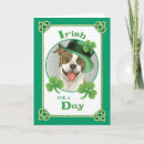 Search for american pit cards Pitbull