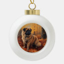 Search for pekingese ornaments Pet