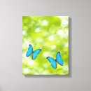 Recherche de voler impressions sur toile Animal