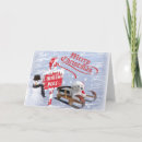 Search for westie dog christmas cards Pets
