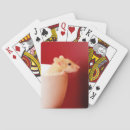 Search for rat playing cards Photography