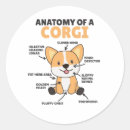 Search for funny corgi stickers Puppy