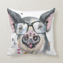 Recherche de porcelets coussins Ferme