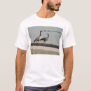 Recherche de humour photographie tshirts Nature