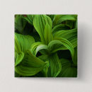 Search for lush buttons Plants