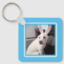 Search for blue bunny keychains Funny